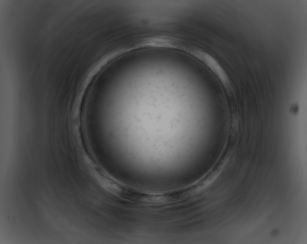 X0000101961435200807181030