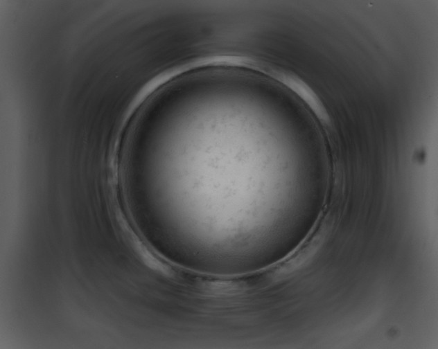 X0000101961436200807181030