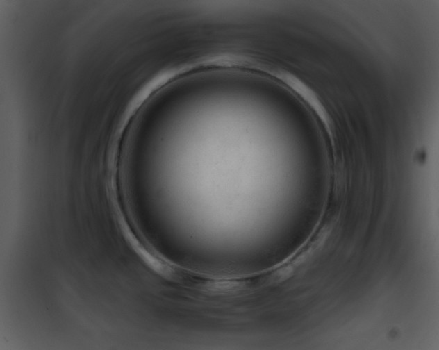 X0000101961437200807181030