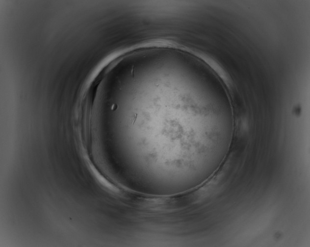 X0000101961438200807181030