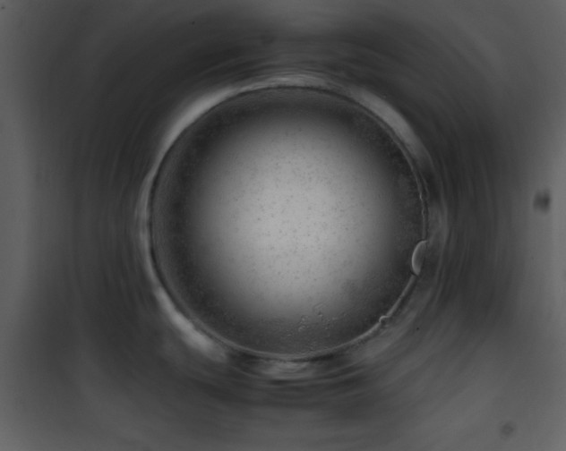 X0000101961439200807181030