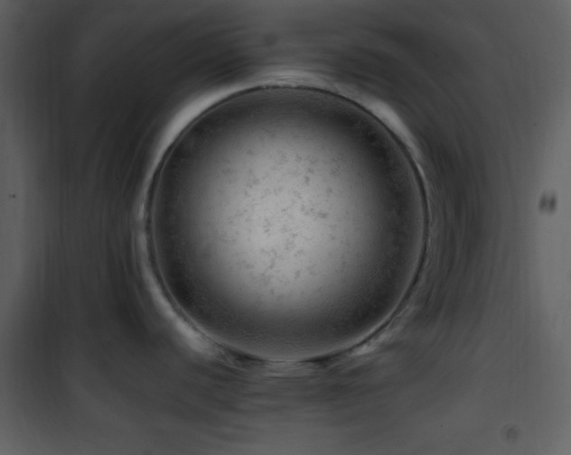 X0000101961440200807181030