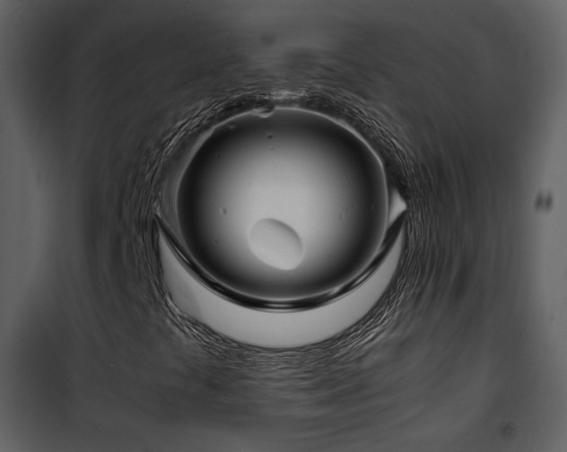 X0000101961441200807181029