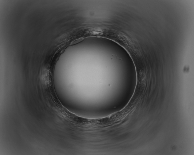 X0000101961442200807181029