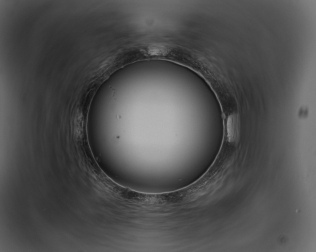 X0000101961443200807181029