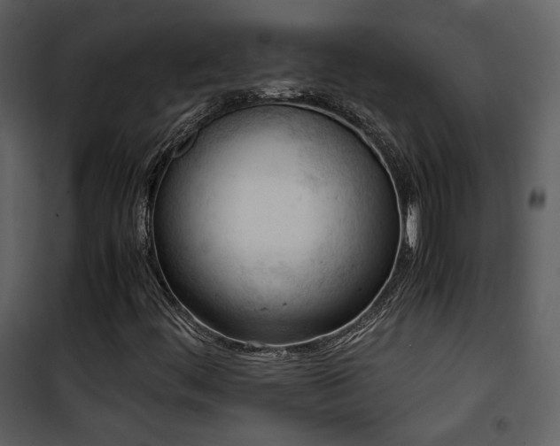 X0000101961444200807181029