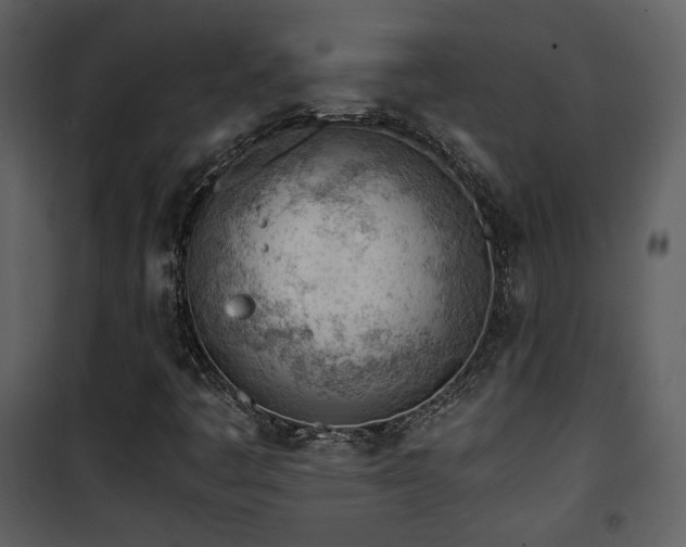 X0000101961445200807181029