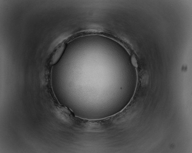 X0000101961448200807181029