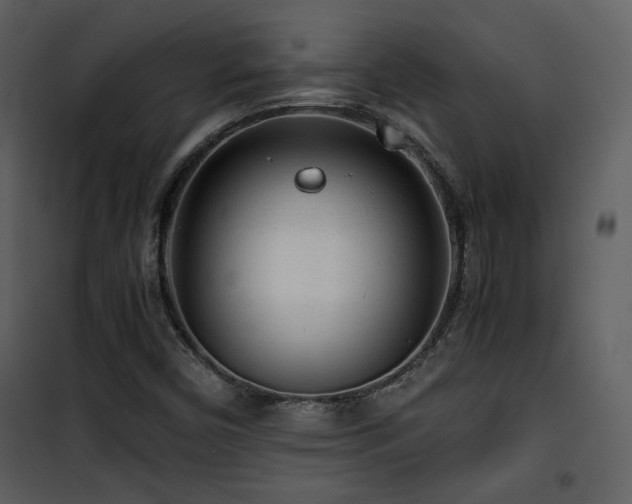 X0000101961450200807181029