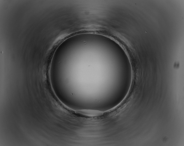 X0000101961451200807181029