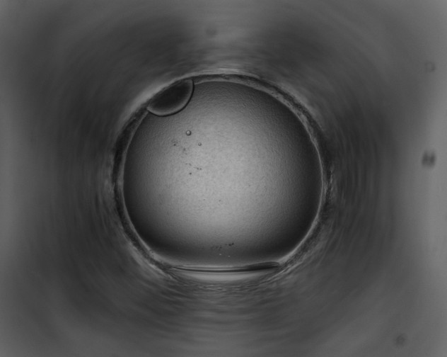 X0000101961452200807181029