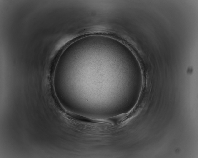 X0000101961453200807181029