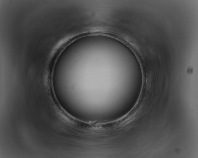 X0000101961454200807181029
