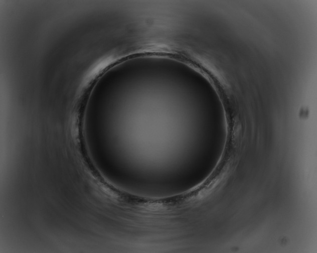 X0000101961455200807181029
