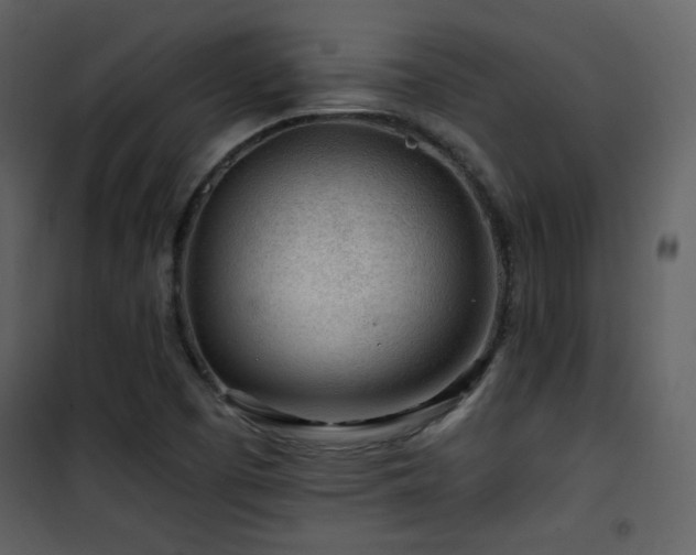 X0000101961457200807181029