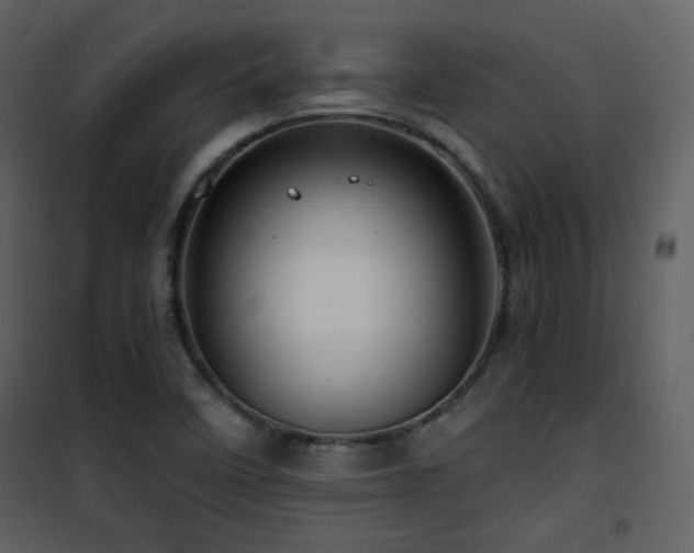 X0000101961458200807181029