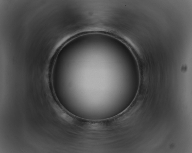 X0000101961460200807181029