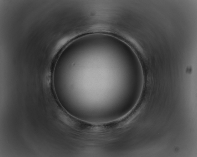 X0000101961461200807181029