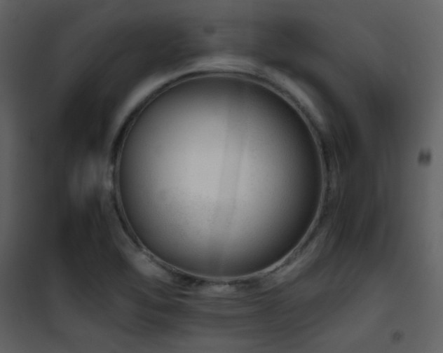 X0000101961462200807181029