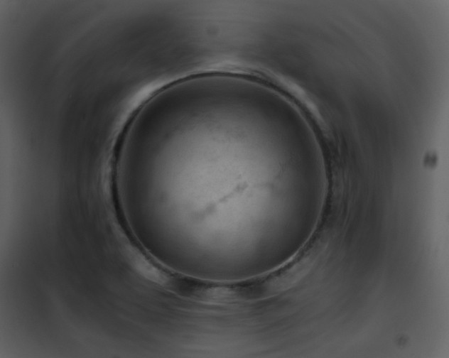 X0000101961463200807181029