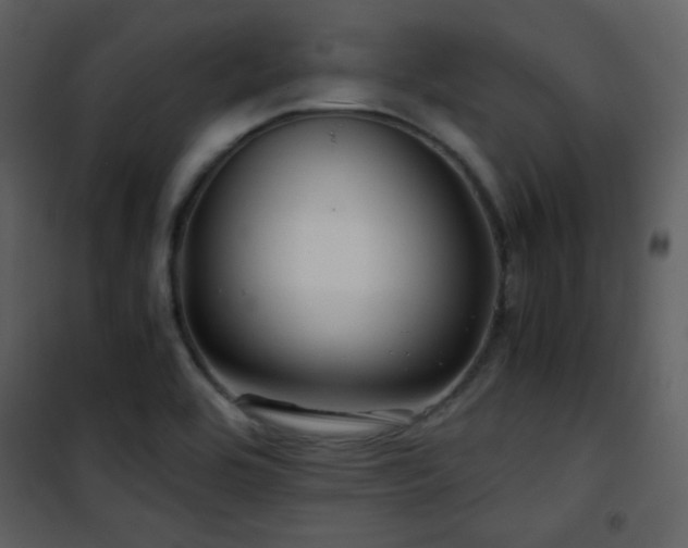 X0000101961464200807181029