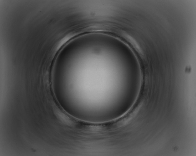 X0000101961465200807181029