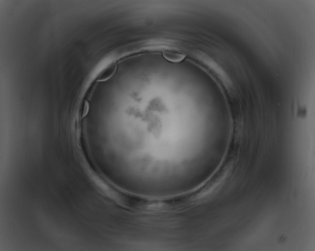 X0000101961467200807181029