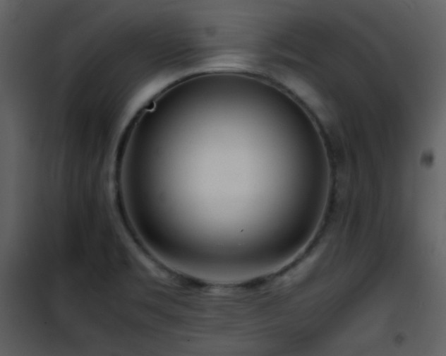 X0000101961469200807181029