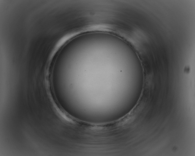 X0000101961470200807181029