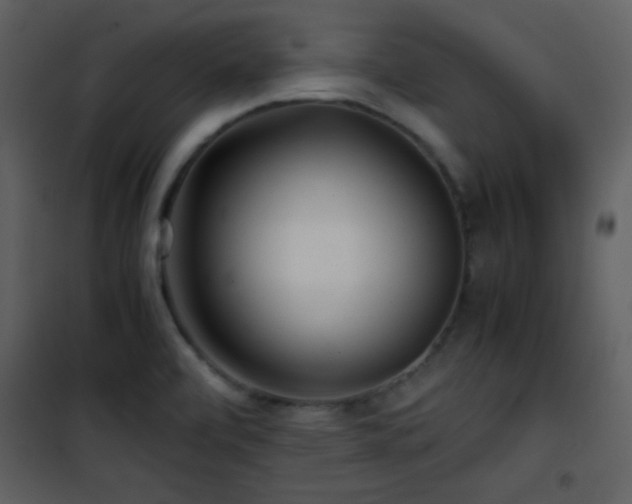 X0000101961472200807181029