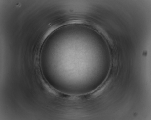 X0000101961473200807181029