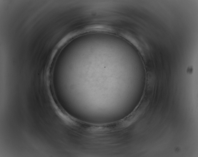 X0000101961474200807181029