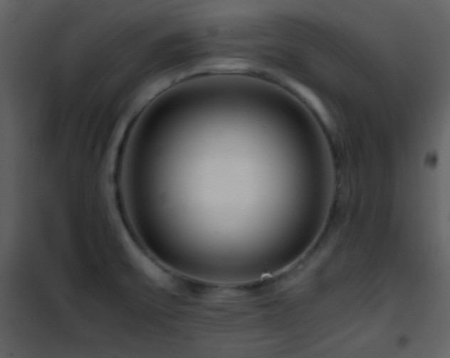 X0000101961475200807181029