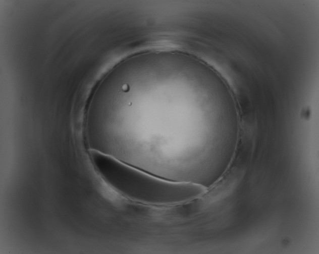 X0000101961477200807181029