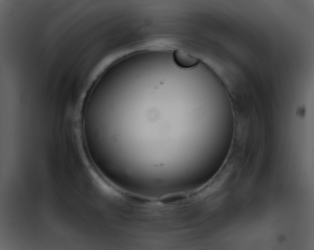 X0000101961478200807181029
