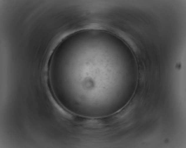 X0000101961479200807181029