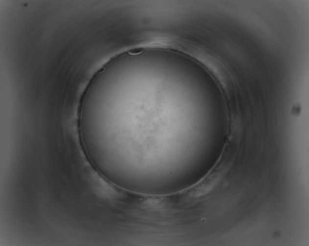 X0000101961480200807181029