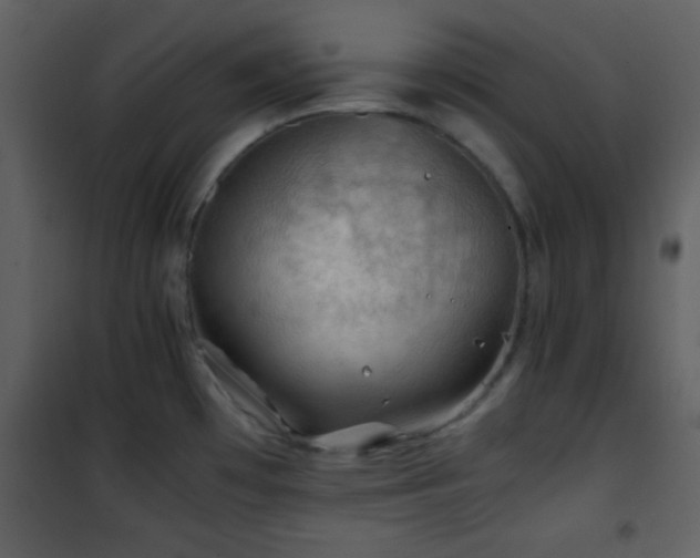 X0000101961481200807181029