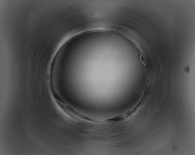X0000101961483200807181029