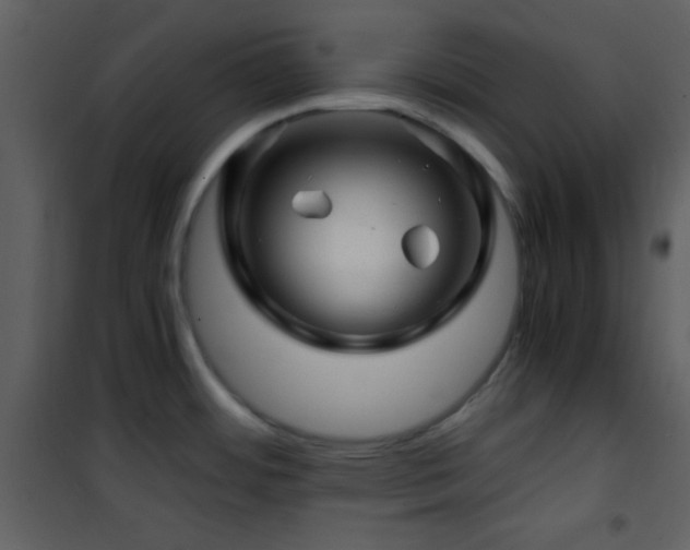 X0000101961484200807181029