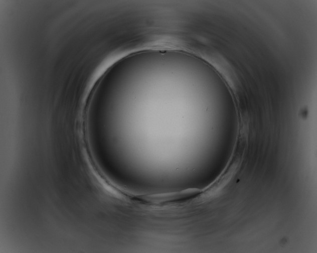 X0000101961486200807181029