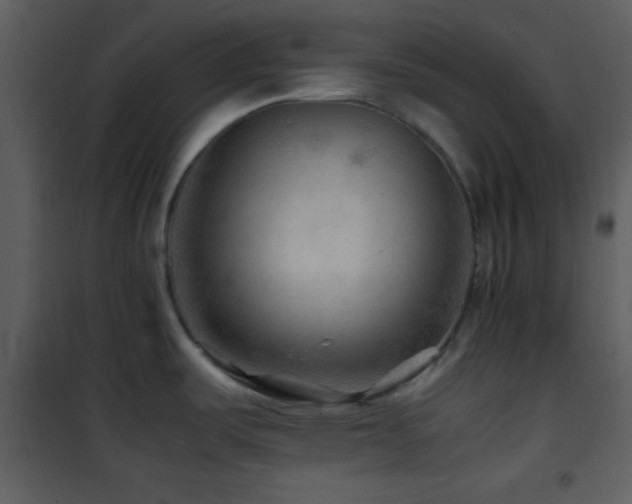 X0000101961487200807181028