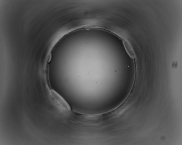 X0000101961488200807181028