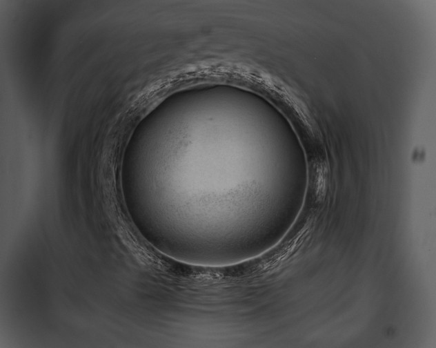 X0000101961489200807181028