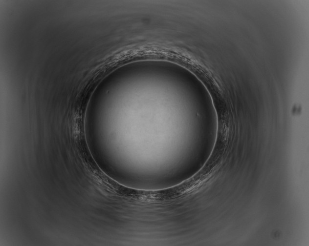 X0000101961490200807181028