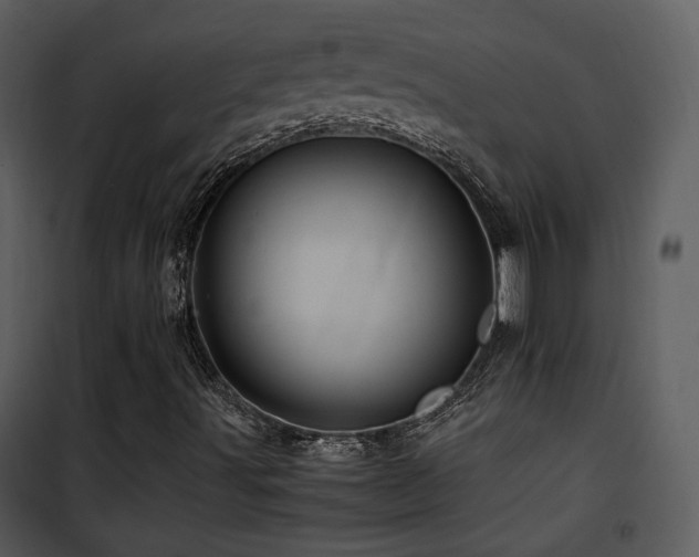 X0000101961491200807181028