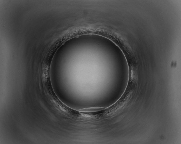 X0000101961492200807181028