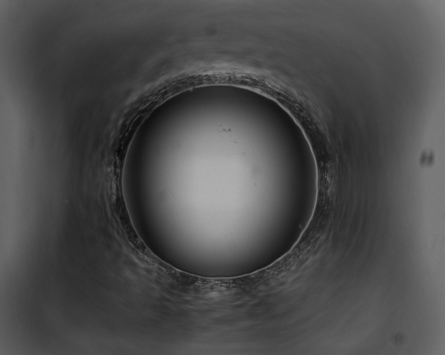 X0000101961493200807181028