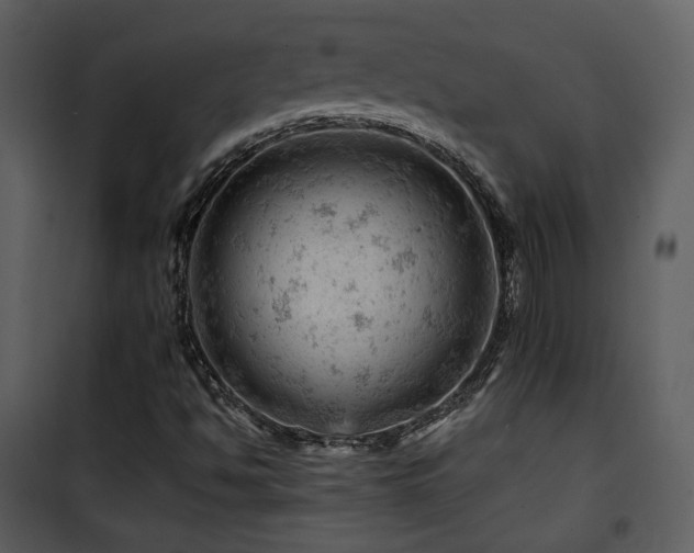 X0000101961494200807181028