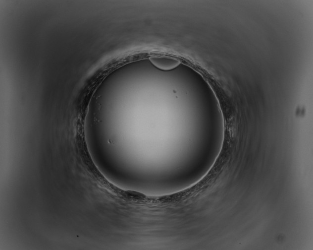 X0000101961495200807181028